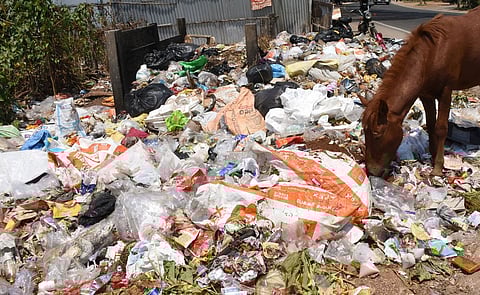 மாநகரில் தேங்கிய குப்பைகளால் சுகாதாரச் சீா்கேடு