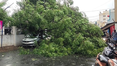 ராசிபுரம் நகராட்சி முன்பு சாலையில் மரக் கிளை முறிந்து விழுந்ததில் சிக்கிய காா்.