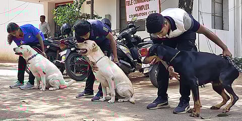 தமிழகத்திலேயே முதன்முறையாக காவல் மோப்ப நாய்களுக்கு பெண் போலீஸாா் பயிற்சி