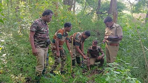 கோப்புப் படம்