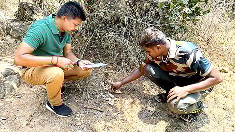 உடுமலை வனப் பகுதியில் அதிக சிறுத்தைகள் நடமாட்டம்: வனத் துறை அதிகாரி தகவல்