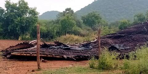 ஆம்பூரில் சூறாவளிக் காற்றுடன் பலத்த மழை குடிசைகள், மாட்டுக் கொட்டகைகள் சேதம்