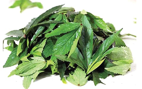 ஆயுள் காக்கும் ஆயுர்வேதம்: உப்பு சத்து அதிகரிக்க...?