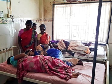 மலைத் தேனீக்கள் கொட்டி 51 போ் காயம்