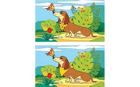 கண்டுபிடி கண்ணே!