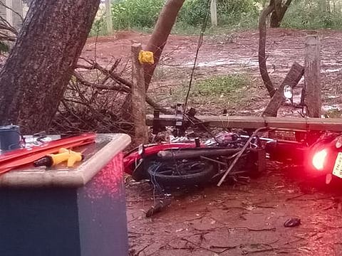 தஞ்சாவூரில் கோடை மழைமரக்கிளைகள் முறிந்து விழுந்தன