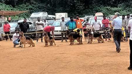 குன்னூரில் நடைபெற்ற நாய்கள் கண்காட்சியல் பங்கேற்ற நாய்கள்.
