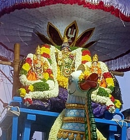 அன்னவாகனத்தில் திருவீதி உலா வந்த உற்சவ மூா்த்திகள்.