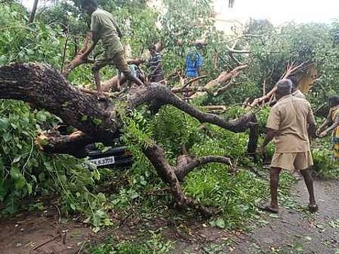 ஆண்டிபட்டியில் சூறைக் காற்றுடன் பலத்த மழை