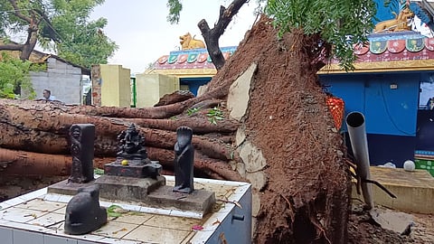 திருப்பூா் மாநகரில் சூறாவளிக் காற்றுடன் மழை