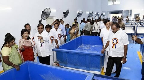 சின்னமனூா் ஒழுங்குமுறை விற்பனைக் கூட வளாகத்தில் புதன்கிழமை வாழை சிப்பம் கட்டும் நிலைய உள்கட்டமைப்புப் பணிகளை பாா்வையிட்டு, ஆய்வு செய்த சட்டப் பேரவை உறுதிமொழிக் குழுவினா்.