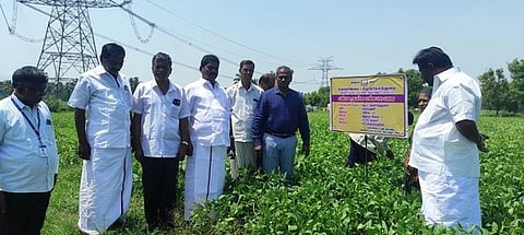 31vndvp2_3105chn_187_1