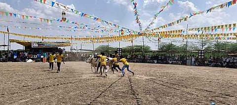 கமுதி அருகே வடமாடு மஞ்சுவிரட்டு