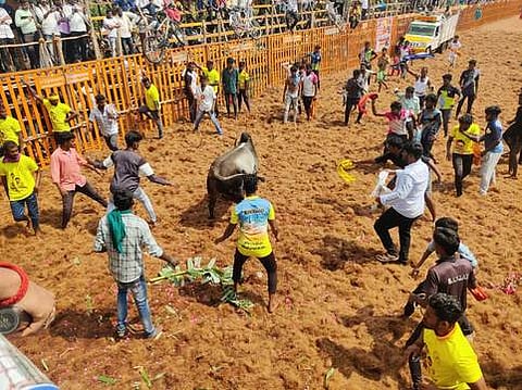 பழனியாபுரத்தில் புதன்கிழமை நடைபெற்ற ஜல்லிக்கட்டில் சீறிப் பாய்ந்த காளை.