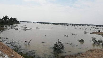 புதுக்கோட்டை கவிநாடு கண்மாய்.