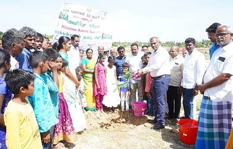 1,000 மரக்கன்றுகள் நடுப்பணி: ஆட்சியா் தொடக்கி வைத்தாா்