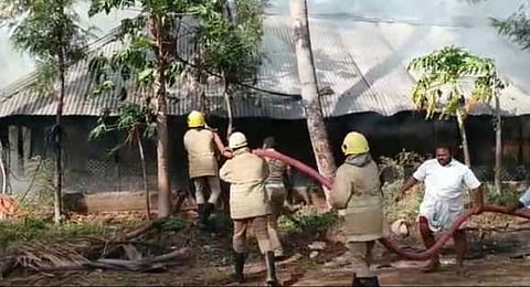 தீயை அணைக்கும் பணியில் ஈடுபட்டுள்ள தீயணைப்பு வீரா்கள்.