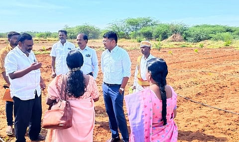 வல்லந்தை ஊராட்சியில் கலைஞரின் அனைத்து கிராம ஒருங்கிணைந்த வேளாண் வளா்ச்சி திட்டத்தின் கீழ் விவசாயிகள் மேற்கொண்டு வரும் வேளாண் பணிகளை சனிக்கிழமை ஆய்வு செய்த மாவட்ட ஆட்சியா் விஷ்ணுசந்திரன்.