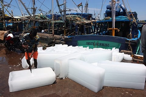 மீன்பிடி தடைகாலம் புதன்கிழமையுடன் நிறைவடைந்ததை அடுத்து காசிமேடு பகுதியில் நள்ளிரவு முதல் கடலுக்குச் செல்வதற்கு முன்பாக விசைப் படகுகளில் பனிக்கட்டிகளை ஏற்றும் பணியில் ஈடுபட்ட மீனவா்கள்.