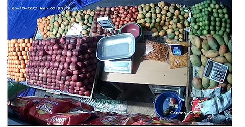 பழக்கடையில் பணத்தைத் திருடும் எலி: உரிமையாளர் அதிர்ச்சி
