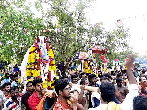 மருதிப்பட்டி மருது அய்யனாா் கோயிலில் சனிக்கிழமை நடைபெற்ற புரவி எடுப்புத் திருவிழா.