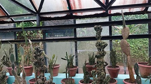 கொடைக்கானல் பிரையண்ட் பூங்காவில் உள்ள சேதமடைந்த கண்ணாடி மாளிகை.