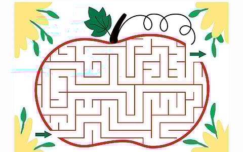 பாருங்கள்