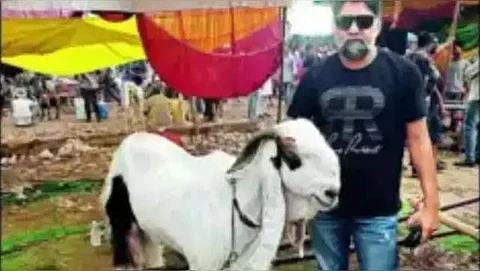 ஷாருக்கான் பெயர் கொண்ட ஆடு