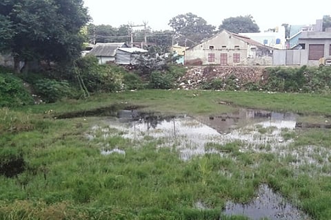 கழிவுநீா் குட்டையாக காட்சியளிக்கும் செங்கம் துக்காப்பேட்டையில் உள்ள குளம்.