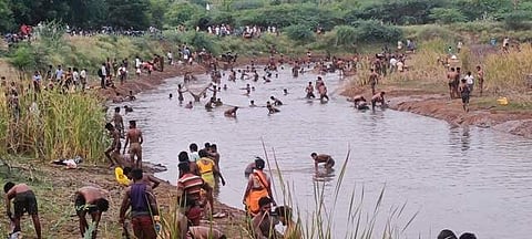 மணப்பாறை: ஆனாம்பட்டியில் மீன்பிடித் திருவிழா
