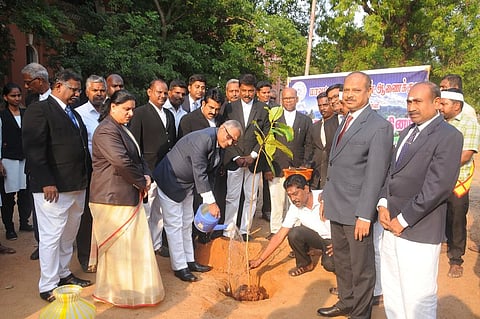 திருச்சி நீதிமன்றத்தில் மரக்கன்றுகள் நடும் விழா