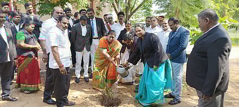 ஸ்ரீவிலி. நீதிமன்ற வளாகத்தில் மரக் கன்றுகள் நடும் விழா