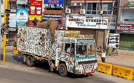 மயக்க ஊசி செலுத்தி பிடிக்கப்பட்டது அரிக்கொம்பன் யானை