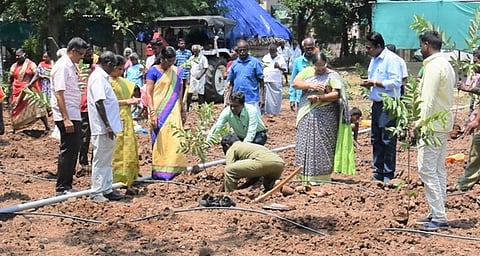 பலன் தரும் மரம் வளா்ப்பால் பல்லுயிா் பெருகும்