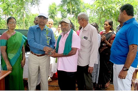 கரூரில் 2.6 லட்சம் மரக்கன்றுகள் நட இலக்கு