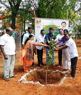 காரிப்பட்டியில் மரக் கன்றுகளை நடவு செய்த நெடுஞ்சாலைத் துறையினா்.