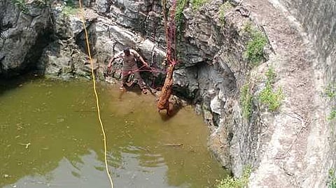 கிணற்றில் விழுந்த மானை மீட்ட அச்சிறுப்பாக்கம் தீயணைப்பு வீரா்கள்.