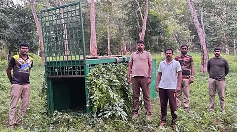 மூக்கறைக்கல் பகுதியில் வைக்கப்பட்டுள்ள கூண்டு.