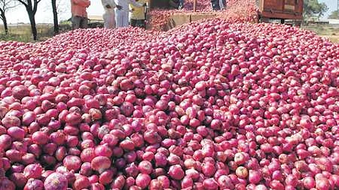 2024 மார்ச் வரை வெங்காயம் ஏற்றுமதிக்கு மத்திய அரசு தடை