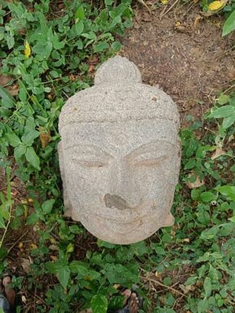 கும்பகோணம் அருகே பழையாறையில் கண்டெடுக்கப்பட்ட புத்தா் சிலையின் தலைப்பகுதி.