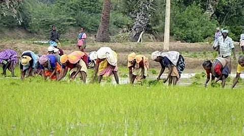 கோப்புப்படம்
