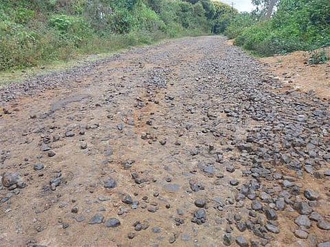 பேத்துப்பாறைக்கு செல்லும்சாலையை சீரமைக்கக் கோரிக்கை