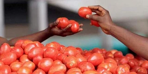 கோப்புப் படம்