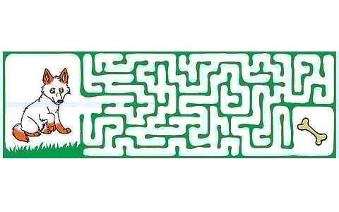 வழி காட்டுங்கள்