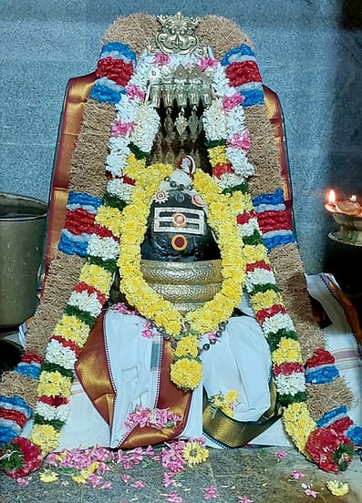 பழனி அக்ரஹாரம் அருள்மிகு கைலாசநாதா் சமேத கல்யாணி அம்மன் கோயிலில் சிறப்பு அலங்காரத்தில் கைலாசநாதா், அம்பாள்.