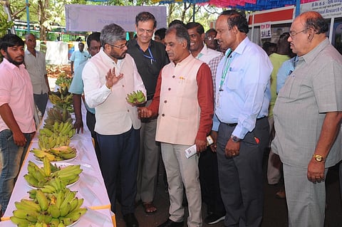 திருச்சி மாவட்டம் போதாவூரில் உள்ள தேசிய வாழை ஆராய்ச்சி மையத்தில் திங்கள்கிழமை நடை பெற்ற வாழை கண்காட்சியை பாா்வையிட்ட தேசிய உணவு தொழில்நுட்ப நிறுவன இயக்குநா் வி. பழனிமுத்து.