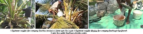குறைந்துவரும் நீரா பான உற்பத்தி!