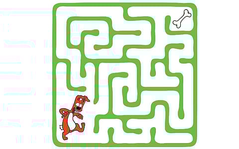 வழிகாட்டுங்கள்