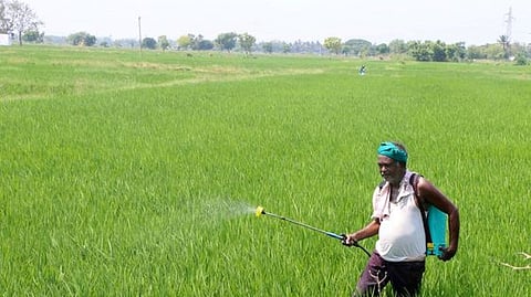கோப்புப் படம்