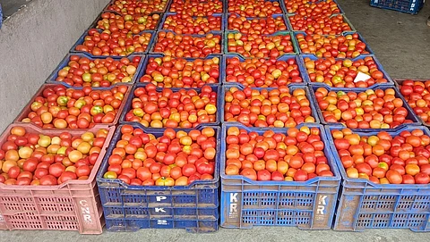 கோப்புப்படம்
